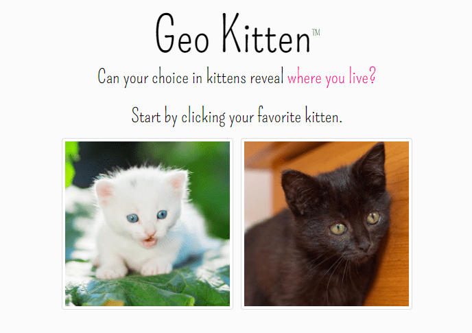 geo kitten