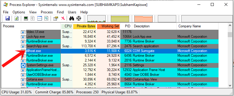 process explorer com surrogate