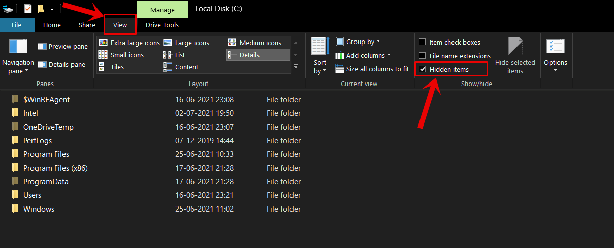 Windows 10 Show Hidden Files and Folders